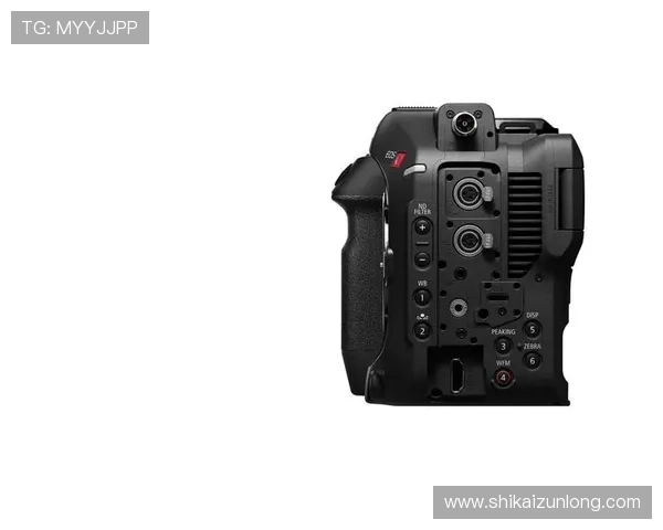 尊龙z6电子游戏平台的注册流程详解，新手玩家快速上手的实用指南