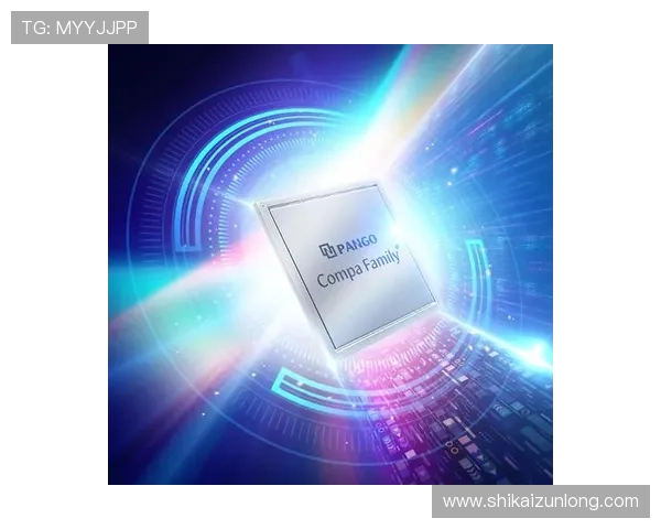 尊龙凯时中国官网首页详细导航及最新优惠活动一览